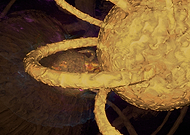 2019-02-07/810205a22cd268cc1a8b76a38be3e5a8_b3bcb002f9a400cc05ba5f5c7661fc2c