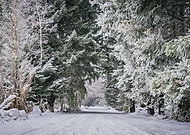 2019-02-07/c379faddcc9d3b9c8860f2689610b887_d35229214d804ffb841c661a8964f0be