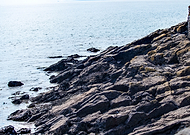 2019-02-07/e34ceaaf65824bad2c0f6448b5089c47_966a80171bfae0508d95e111e253371a