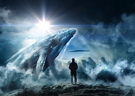 2019-02-10/dc04811415cca9f6374ee2c252deeadf_6bea018716c324704f83865a3f6fbfee