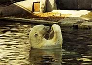 2019-02-12/3a00c5bf72045e9d131400557b052444_f6fca55a5f75e80f004b17a29012a6ad