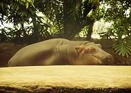 2019-02-12/570642c3a533c04617bba05112be6be0_928437d50c5541ab4a363b5ec379dd86