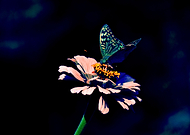 2019-02-12/81cfa62a921ede1698d7525b480706e9_ea82b084c65f2325cba3de6f6550dc85