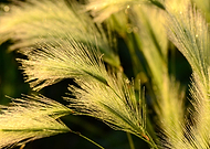 2019-02-13/5a9ccb5f8e94002915028c48fe7040a0_60f04e034b6173453a21f7d629571ec2