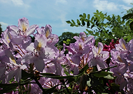 2019-02-13/faee654bfd54663288986422e5c22d66_1144c5ddf4b8f8d7adf5ccd9c2651812