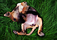 2019-02-14/7e9541c4943ca456e3ac9451c11e4723_a3899460855f0ecff76cfd19a5ef45ea