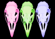 2019-02-15/359dedb8bb3a71ea45418f0334118dce_f7f569d14b3ba8303254e59b56c44dc6