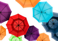 2019-02-17/0e5d9365a7004e1b6cf75fa7a539019c_ab25fada308b47f50c89e82916a9a223