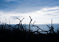 2019-02-17/1f972463931feda0a5f1e669f9cc5fa2_d9f799be58cb294784097bab191b4d1e