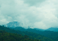 2019-02-17/63273c8ff624627415815459e593f649_684d0f81eff745ea99c88b81003b76fd