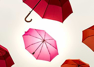 2019-02-17/6ec4647fae147a711df29166215f94b7_d5823d28141bed1a492189248b79760c