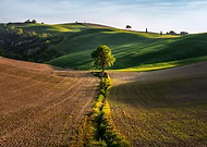 2019-02-18/b8cd10dd34f48750c9d81046aa2d168e_c9012326c692256dececdcaa760ea371