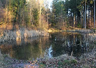 2019-02-18/d3933906f66551ae89f02c9e0f2d63cf_e62b6475394a318242fb4325ceec58e8