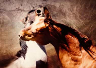 2019-02-18/d46cca7c73b44649ab16cec390bee5cd_1e869b8040ee6127261e00e421009db7