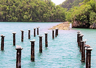 2019-02-19/3a9723a8819e22701d08145dd3d5e0b4_676d216da4585864e74bb5fd6ba5d110