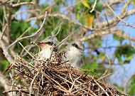 2019-02-19/7a842a9f83c6ef42ee20a2993b89ca70_1eac853fc6f3586b80f79cc391ef1f4f