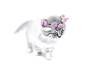 2019-02-20/969f49b07d38c35146acc5e6d44bcea5_814bcb4aa32ad252e01b45664dd00d14