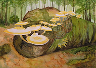 2019-02-20/d1e992d049f68dc20697d15b42e49325_96c97ebbd48177b062f34dc66597a192