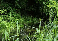 2019-02-21/274edc2c3216875a1f66c52a1c31e144_08123eeb2ca61146e4df88b79dcaf1b0