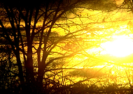 2019-02-21/5fe9527b68e8a21275b069c5e670c02b_9ed019aa31baef6edeceef4ee8b1f354