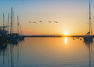 2019-02-21/e797eaa1202573d94b790eeff049e0f6_82ba0ae6ee89414ee3f05f9a78e5aa82