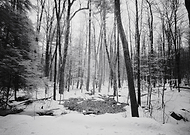 2019-02-22/5be920773ee10f2eed170b4802a5364e_310b5b40d5e1812ee756f5b4cb7d8a9e