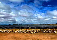 2019-02-22/afe51973479e8e7f0ceea2af5c87371f_3203f3a9e04b0990f0ae26aa1c3d0d68