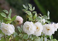 2019-02-22/eb47c15da7941c1b14b260a033b33e50_7883138bc3cc9ecc476a2f10837a6862