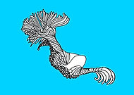 2019-02-23/0b7249e47f7166934a29a78e396c9c51_0d956754b9dd76461285c663563a352b