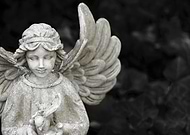 2019-02-23/e0d82c3b2b0ab12cae93ae5ee089977c_e9a191ee2a1d580c164e8f528b948e14