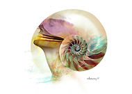 2019-02-24/6aeb59dd35d5fdf185886b987e26c609_ca00d9c9a66e76d931c38df23da72950