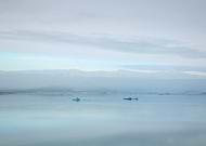 2019-02-24/a099ccba1fc45442f1c49d7c01a22700_93f629e22cde37944d65af9d25f329ca