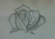 2019-02-25/1507efaa3125fdf47c5402e7e72672e7_bea14ec2fa1172af9def90a390462ccc