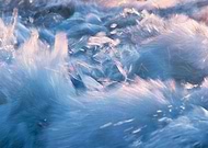 2019-02-25/4ff21561cd79409c6540434620286f87_936076d7dd90c64d37c2b1c964d02e62