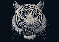 2019-02-25/5cc365e5e0719df3c11dc9de7b9d8c86_7db59969cdd7dc1227264110d817107c