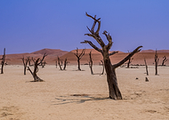 2019-02-25/c354996e991d99374f87cf5cf6a0f47d_2e511eed72f22b5ef09f02c749aa94ac