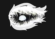 2019-02-27/d6ce4485c26f74c26c34716e0a6f9d02_62e852e3ef23d2ed91eebb9c02daa29b