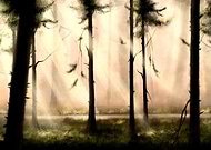 2019-02-27/db522b09e76d375402544151136d2fe3_c08f0efd54f033f254cc46ec48118a15