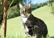 2019-02-27/dba06ab873cf709efe403eab7131de8c_3836d03feeb8f7bfb10e4b90638a7cc4