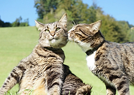 2019-02-27/eef6820bebb5530e1478f951e2d88747_c8049de1b44322f2f6a40b016f7859aa