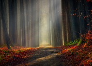 2019-02-28/15ab9b9b8d41aeb0fef7ec1b2d0cdde3_728a3a6a3a4bc28b854df45ab3c8a72e