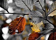 2019-03-01/2ced2498a2f2a1bc2a28668571575859_68c4d2cfe09ee2f7e344e83d585346bf