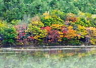 2019-03-01/3b5dc18f399e381a179c57d58683f5f6_1679b2d702296cd64b2853d0b6862646