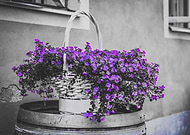 2019-03-01/43798c8a575973edead4afeb96091637_78e9b3e3869c13f372c334d22a4dc544