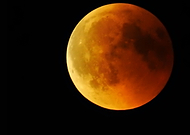 2019-03-02/d1800bd129524416e8fcda6b98f1882d_f422ff4a72c480434c5757375061e2b1