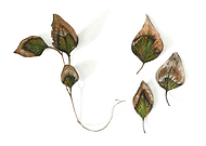 2019-03-02/e3f336549d0ebad055b8af484dab33fc_d67a9231755a4423fc9d2e8ea9f32fcb