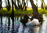 2019-03-03/8d773cc84d8b8594ae37576adda3c226_c97b5c9952e88d329609c7294c44bd58