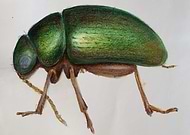 2019-03-04/9da70bb36664637f82d131363ecbd316_1452fd5ef10c5b419a3c5f143e9b251c