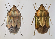 2019-03-04/fa45cf5d7789dbe32e617c7fbd28104b_807d534d832711793af1e1dc84d52314