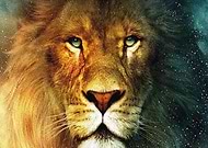 2019-03-05/6e81a44577fe041aadab0a31b8d06041_80334b161db24501f5c8e5031d5a4cd8